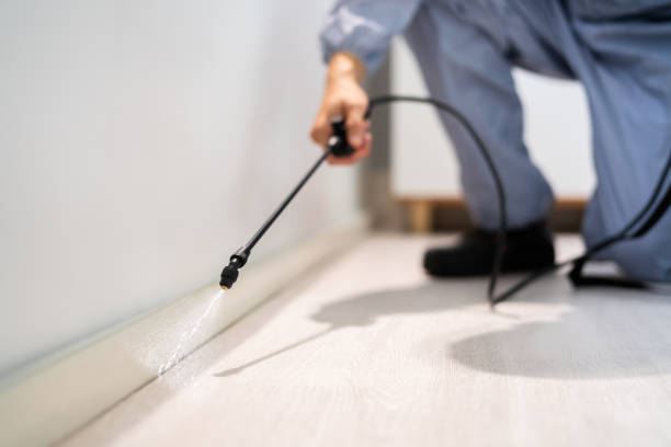 Licensed Pest Control service in Huntington, UT - Show Me Pest Control